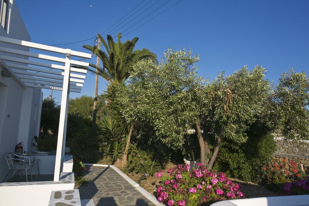 Anna-Maria Mykonos Hotel Glastros  Exteriör bild