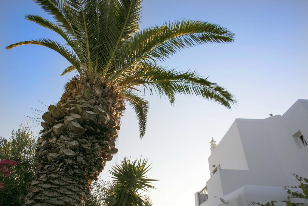 Anna-Maria Mykonos Hotel Glastros  Exteriör bild